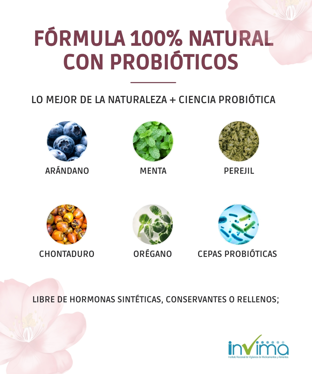 Ingredientes principales de Menopause Vital